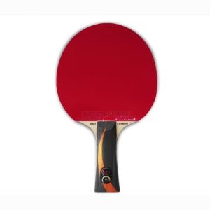 Купить Теннисная ракетка Gambler x fast carbon X3D в Кызыле 