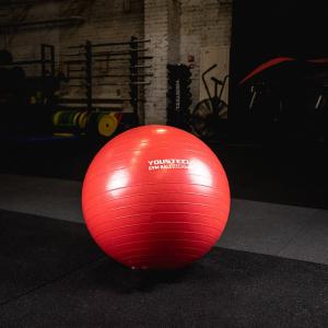 Купить Гимнастический мяч Yousteel Hard 55см в Кызыле 