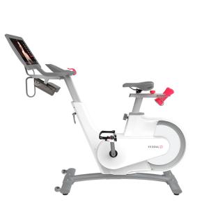 Купить Велотренажер Yesoul BV1-W PLUS в Кызыле 